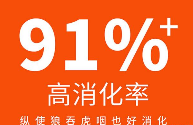 红狗猫粮｜高效解锁猫咪肠道健康密码