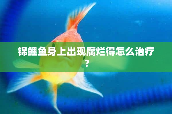 锦鲤鱼身上出现腐烂得怎么治疗？