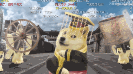 不管你信不信，这只柴犬在B站就是秦始皇