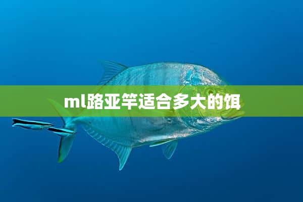 ml路亚竿适合多大的饵