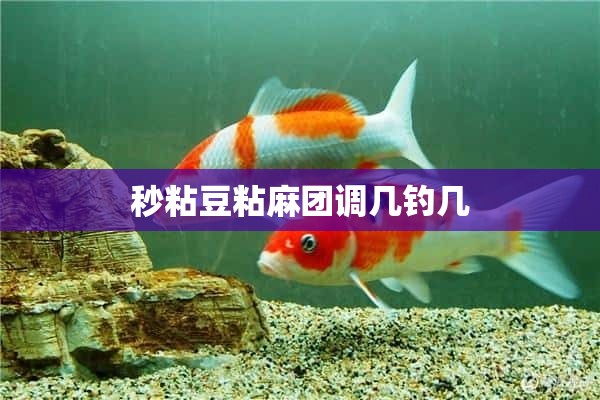 秒粘豆粘麻团调几钓几