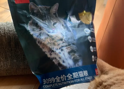 PETALK宠心语9099无谷猫粮评测