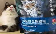 再再再次推荐【国产猫粮】PETALK宠心语猫粮