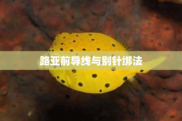 路亚前导线与别针绑法