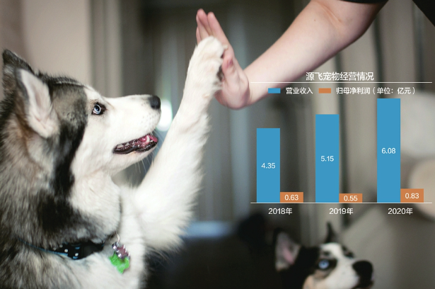 温州源飞宠物玩具制品股份有限公司简介
