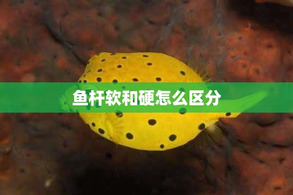 鱼杆软和硬怎么区分