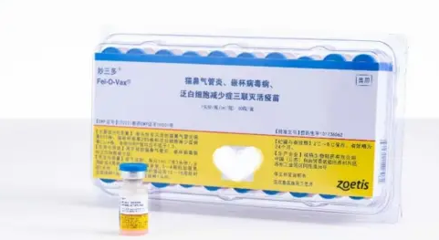 猫用疫苗国产妙三多重磅上市！宠物主人不再怕疫苗荒
