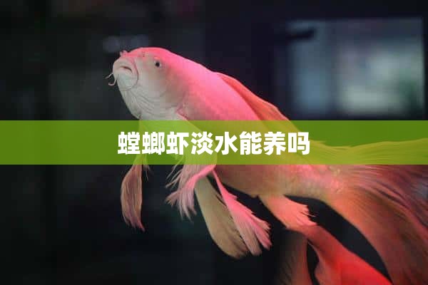 螳螂虾淡水能养吗