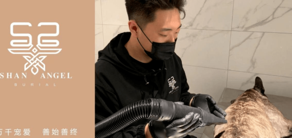 SHAN ANGEL善使——宠物殡葬高端品牌，让毛孩子有更好的归宿 