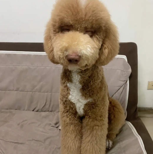 养巨贵要注意什么？看看小姐姐们的经验总结！