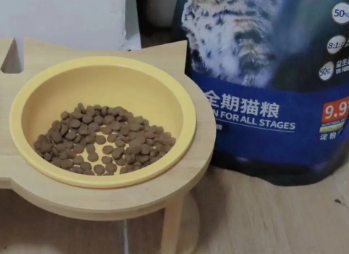 国产猫粮天花板50%蛋白｜PETALK宠心语