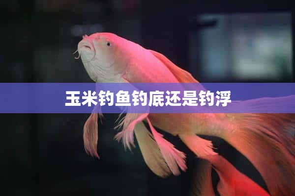 玉米钓鱼钓底还是钓浮