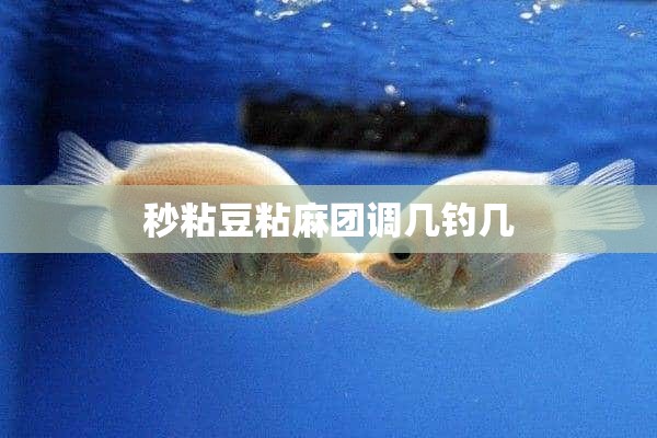 秒粘豆粘麻团调几钓几