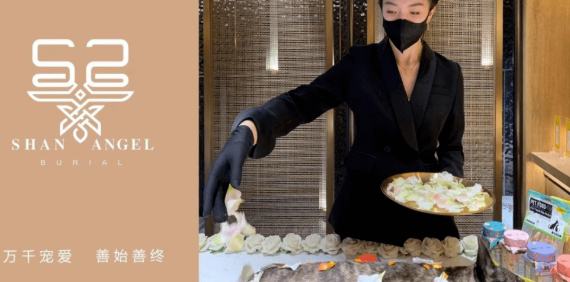 SHAN ANGEL善使——宠物殡葬高端品牌，让毛孩子有更好的归宿 