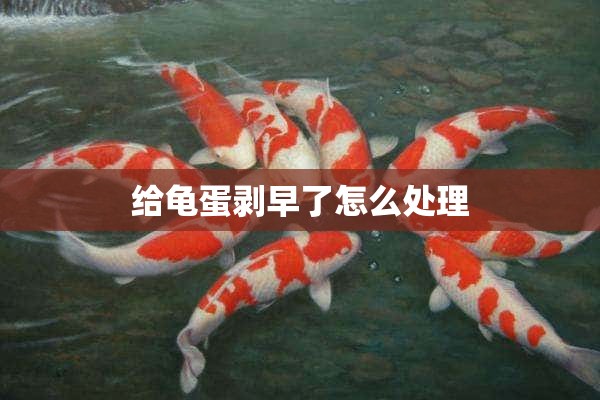 给龟蛋剥早了怎么处理