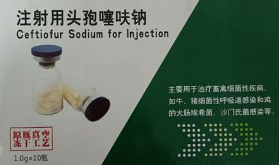 热烈祝贺！华蜀兽药12条生产线均为兽药 GMP 合格生产线