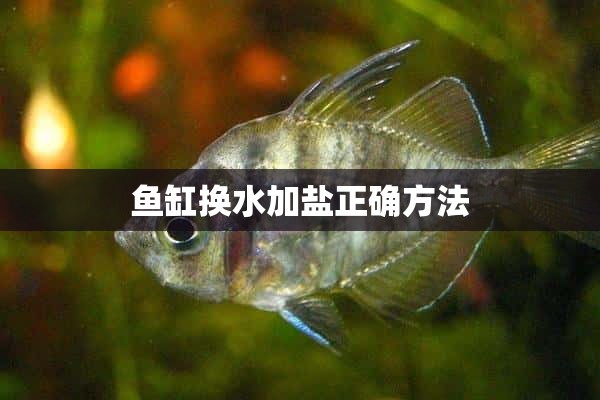 鱼缸换水加盐正确方法