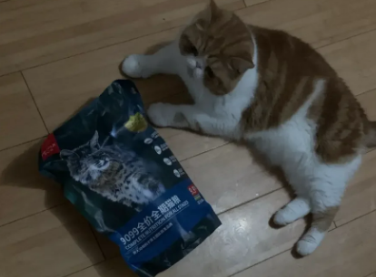 PETALK宠心语9099无谷猫粮评测